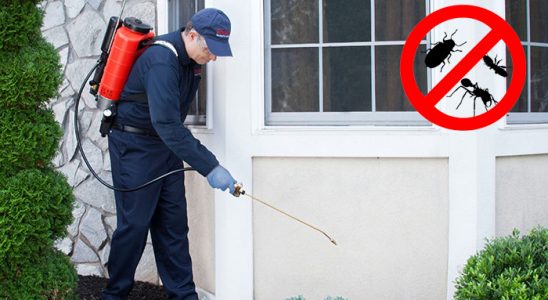 Tekirdağ Böcek ve Haşere İlaçlama böcek ilaçlama ve haşere kontrolü — ilaclama-tr.com